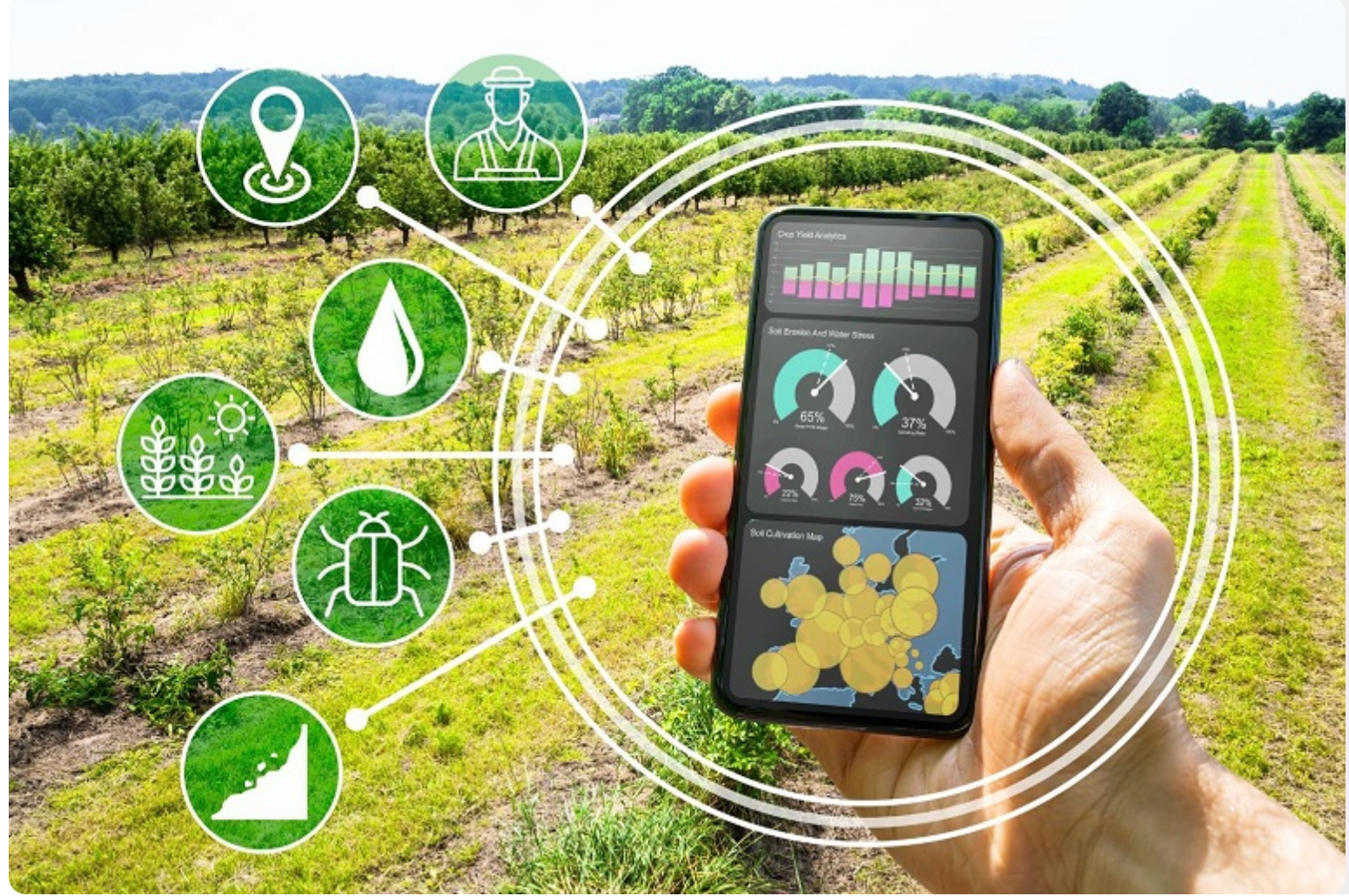 Precision Farming: A Technological Marvel Transforming Agriculture