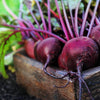 Chemical and Residue Free Beetroots