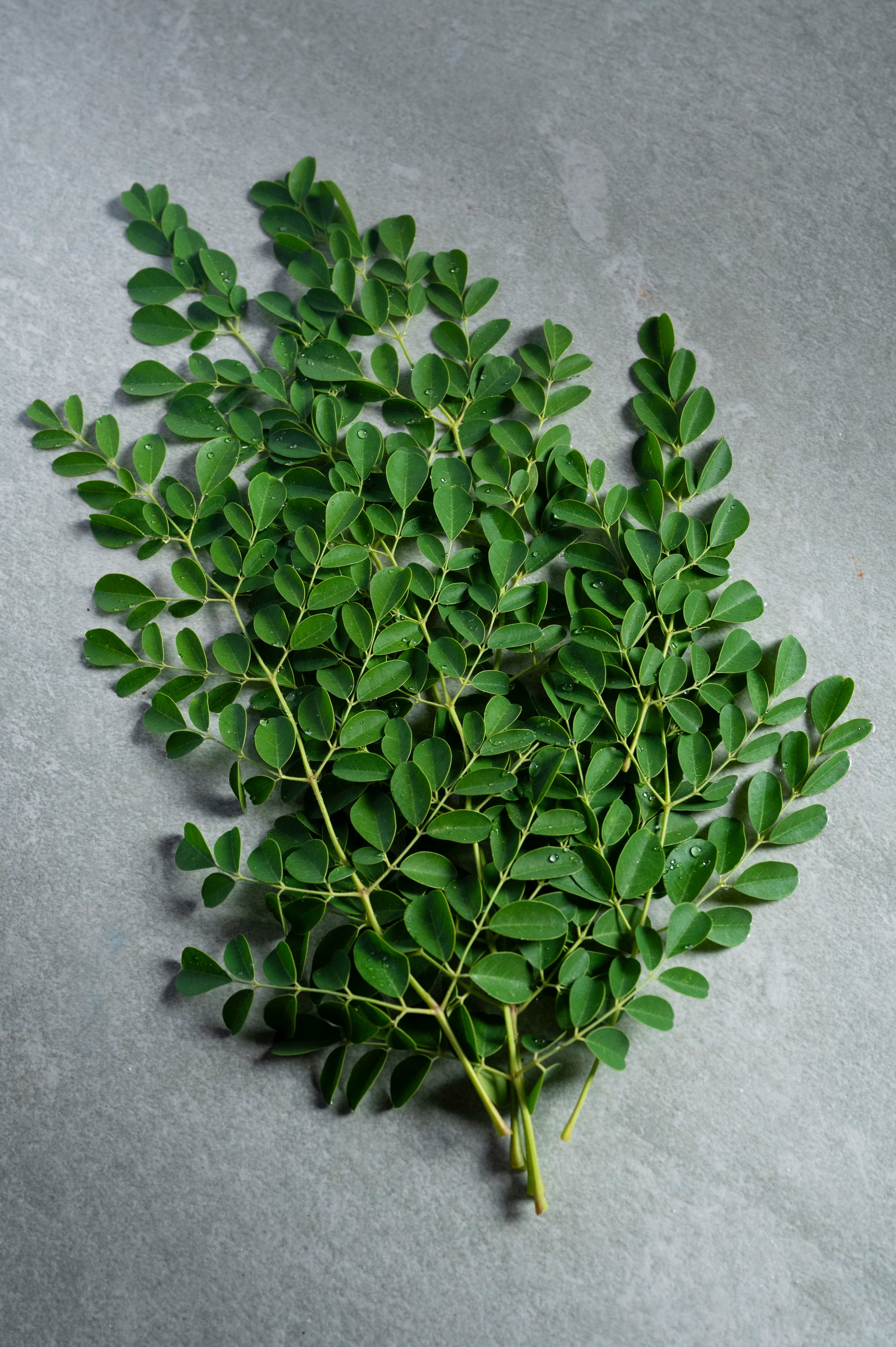 Chemical and Residue Free Fresh Moringa Leaves (250 grams)