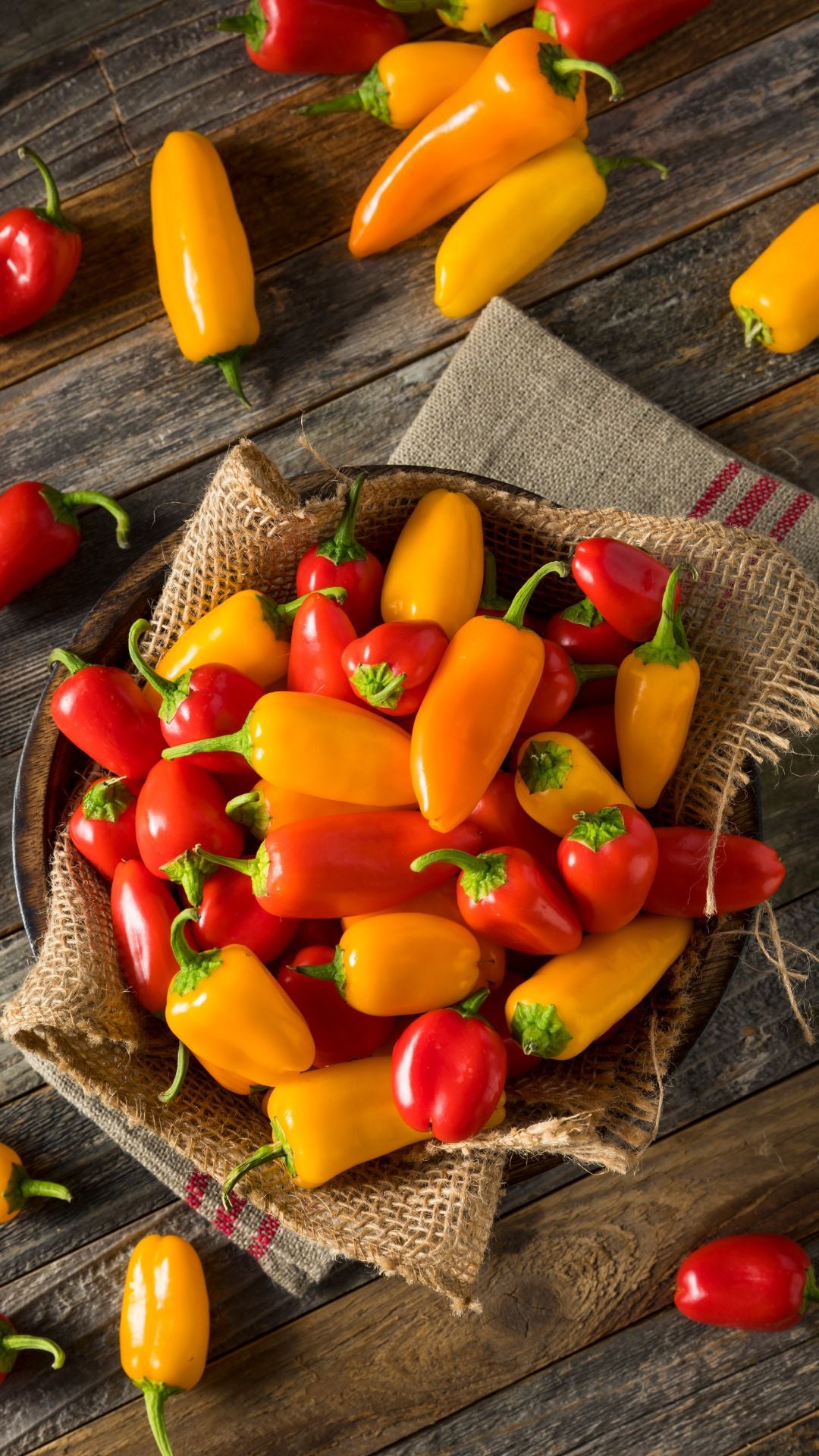 Assorted Sweet Mini Peppers (250 grams)